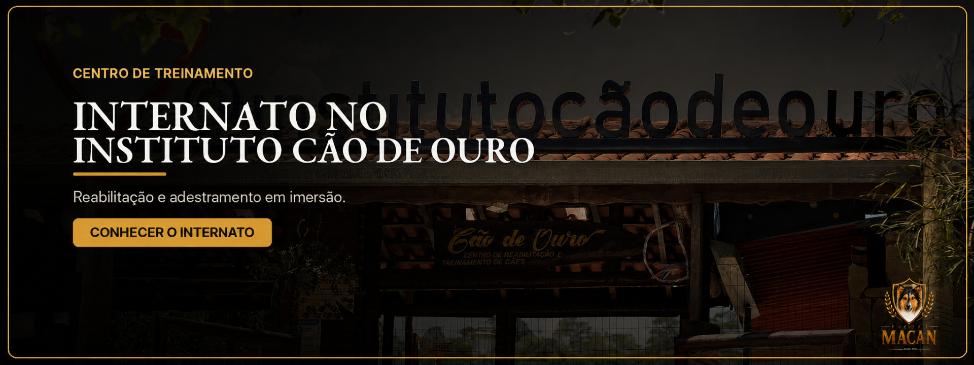 Internato no Instituto Cão de Ouro